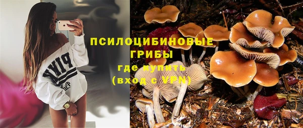 хмурый Балахна