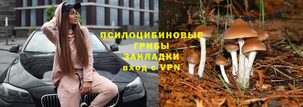 дживик Балабаново