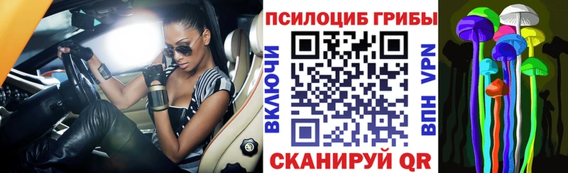 мега tor  Гаврилов Посад  Псилоцибиновые грибы Psilocybine cubensis 